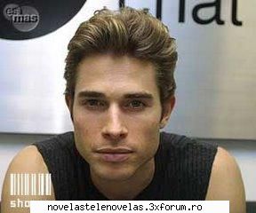 Poze - bird - Sebastian Rulli