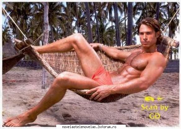 Poze - bird - Sebastian Rulli