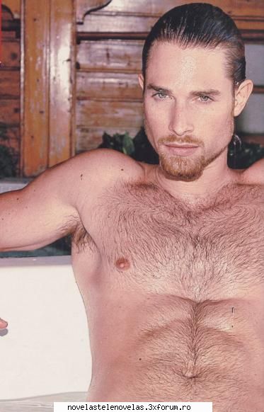 Poze - bird - Sebastian Rulli