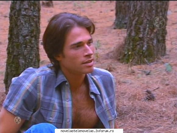 Poze - bird - Sebastian Rulli