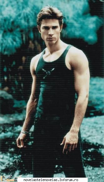 Poze - bird - Sebastian Rulli