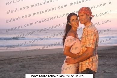 Poze - bird - Sebastian Rulli