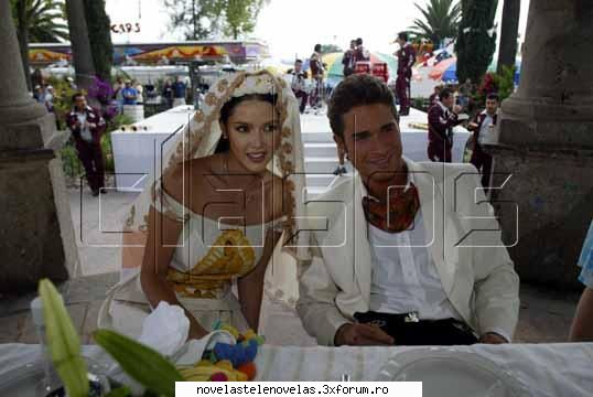 Poze - bird - Sebastian Rulli