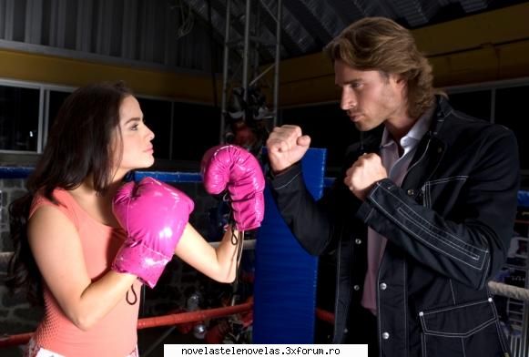 Poze - bird - Sebastian Rulli